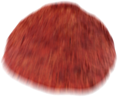 chip2