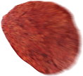 chip4