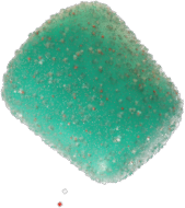 chip5