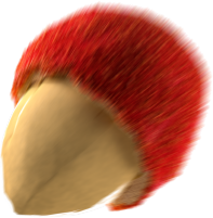 chip1