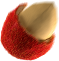 chip2