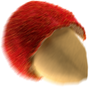 chip3