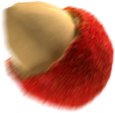 chip0